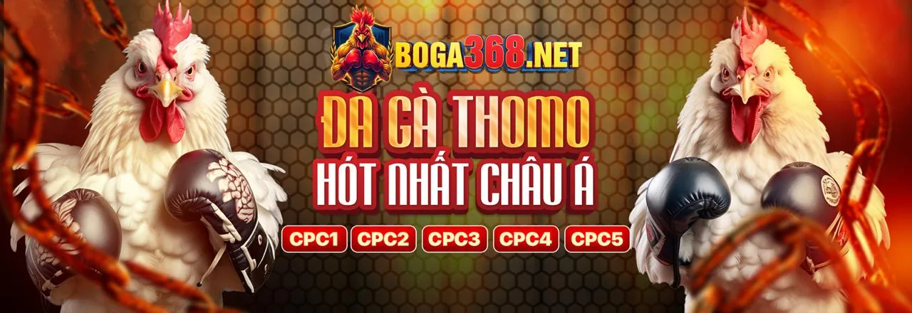 Hình ảnh đại diện cho Điều Khoản Dịch Vụ của gg88kjc nhà cái